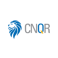 CNQR | Conquer Leadership logo